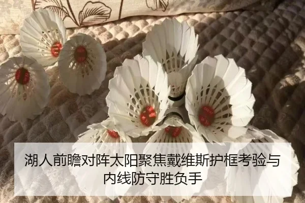 湖人前瞻对阵太阳聚焦戴维斯护框考验与内线防守胜负手